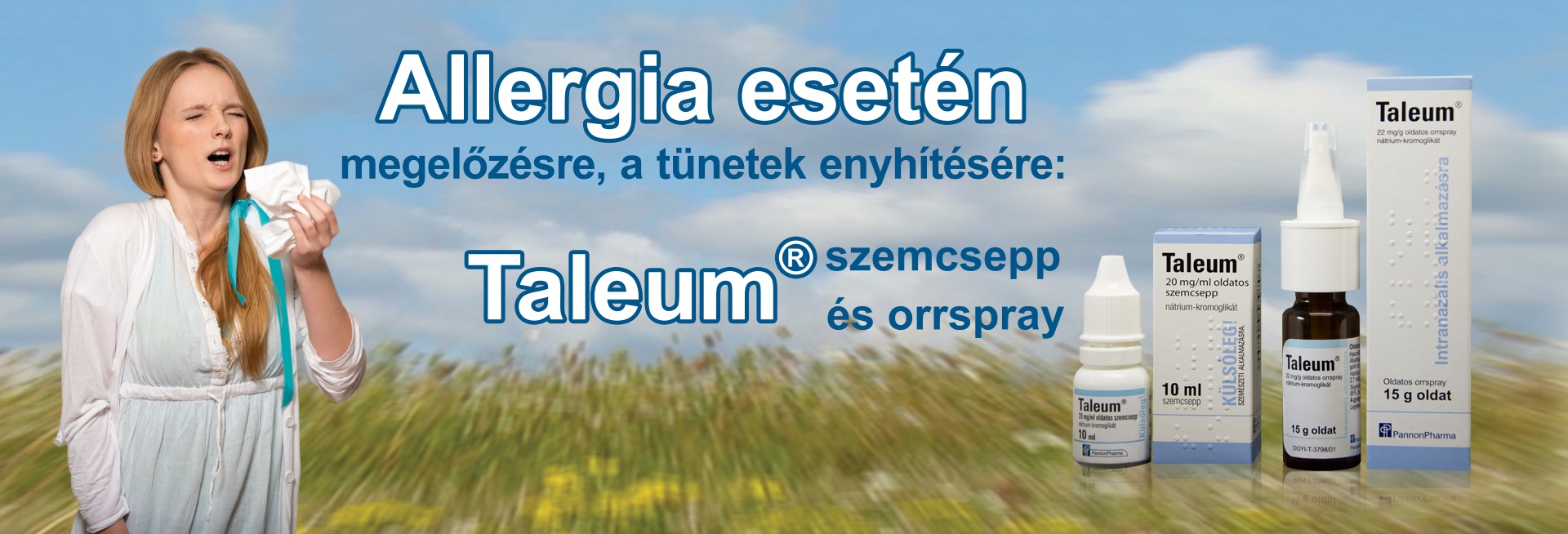 Taleum fejléc kép
